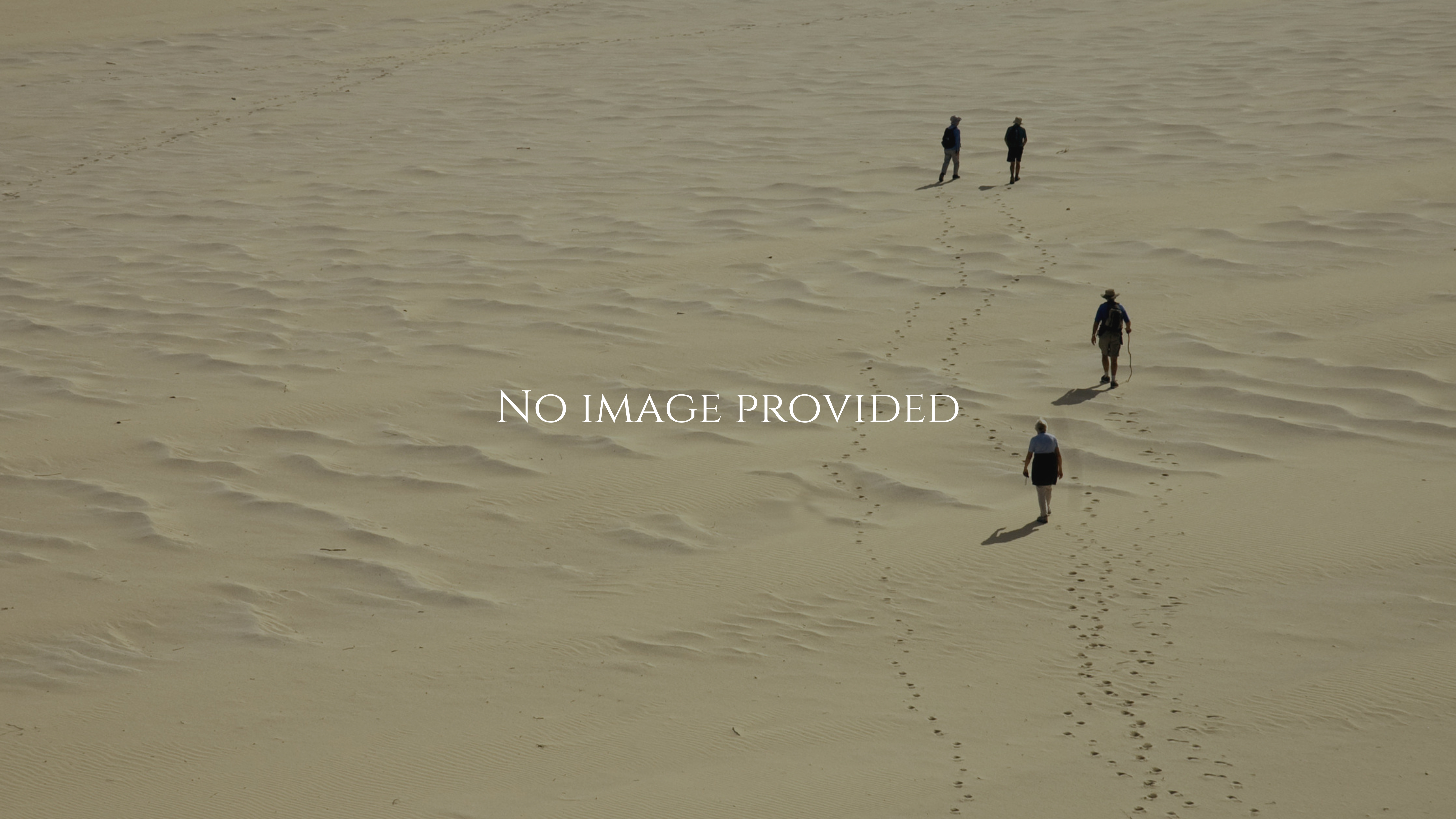 Project preview image